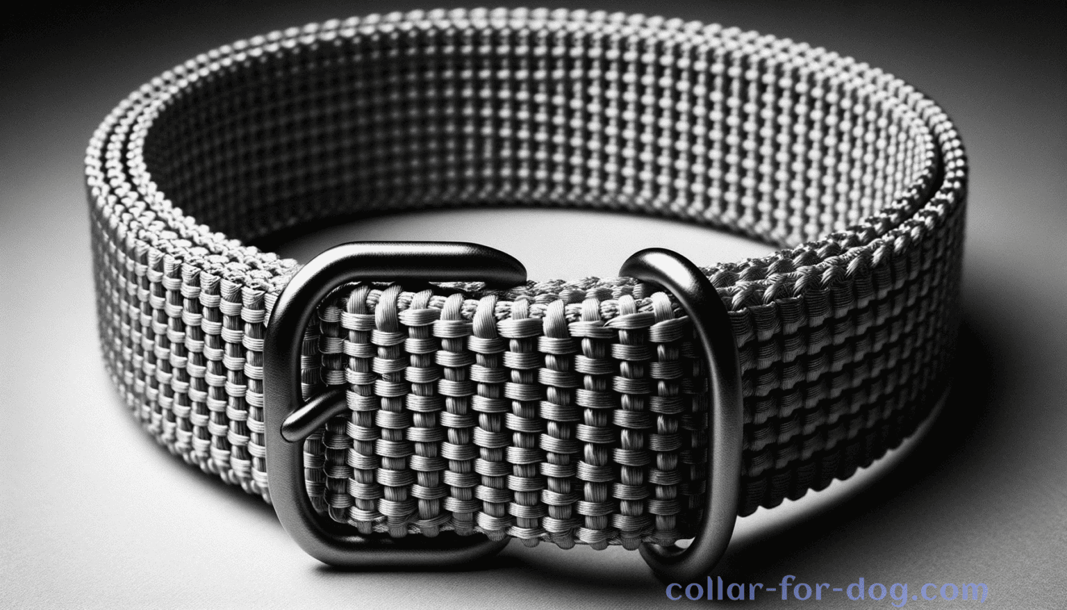 How To Choose A Dog Collar? Dog Collars