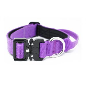 Purple dog collars