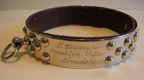 Silver dog collars