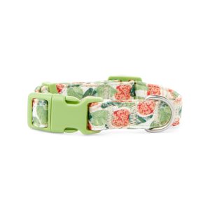 Multicolor dog collars