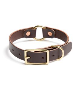 Brown dog collars